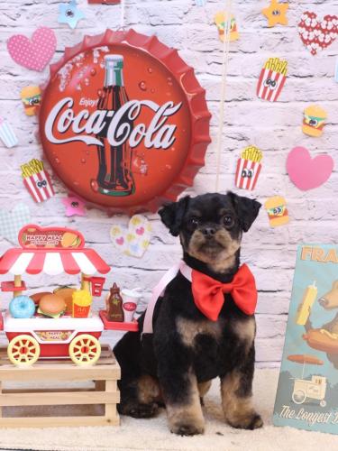 20230907こたろうくん